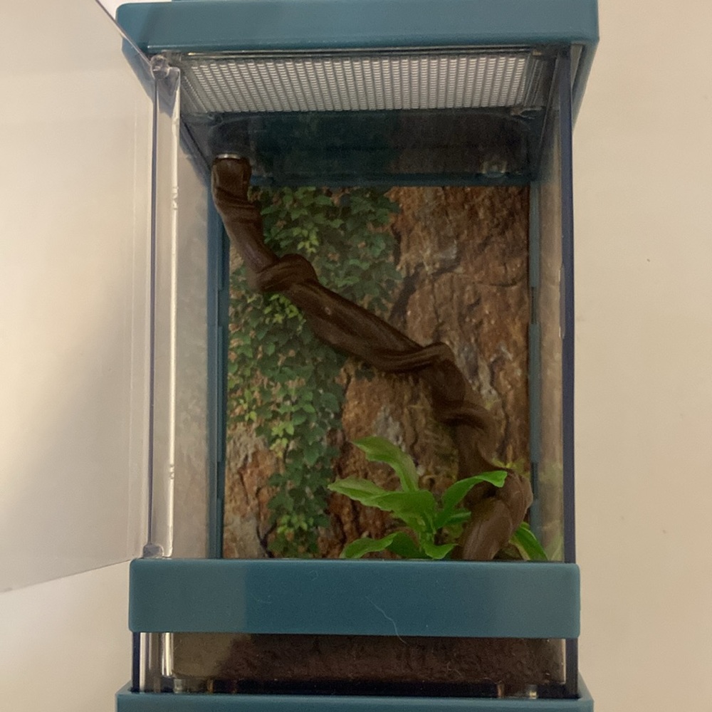 American Girl Doll Terrarium with accessories and light - chameleon NOT included - Picture 3 of 5